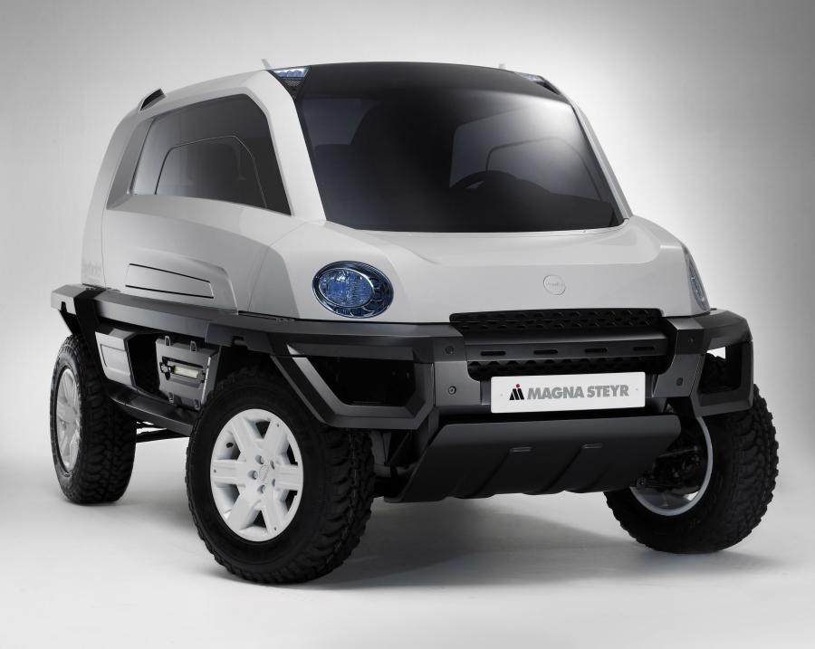  Magna Steyr MILA Alpin 2008 года  (фото 3 из 7)